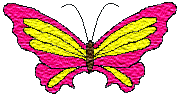 Beauty the Butterfly
