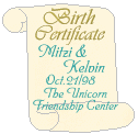 Pony Birth Certificate