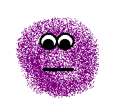 Purple Poofe - 1/26/99
