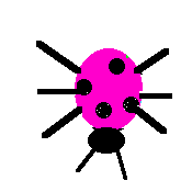 Petunia the Ladybug