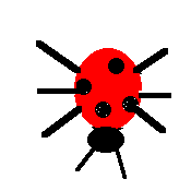 Lady the Ladybug