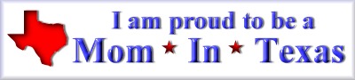 Mom InTXbanner