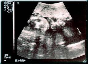 July 31, 1997.