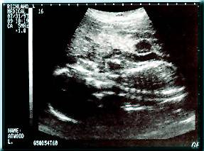 July 31, 1997.